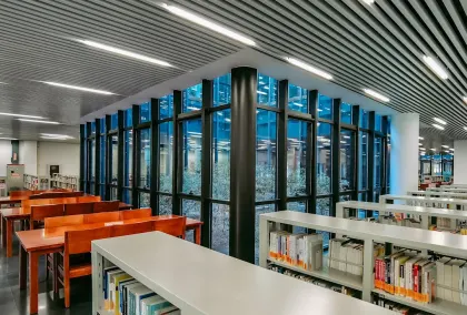 Kasino Lion Wins Mobilná aplikácia